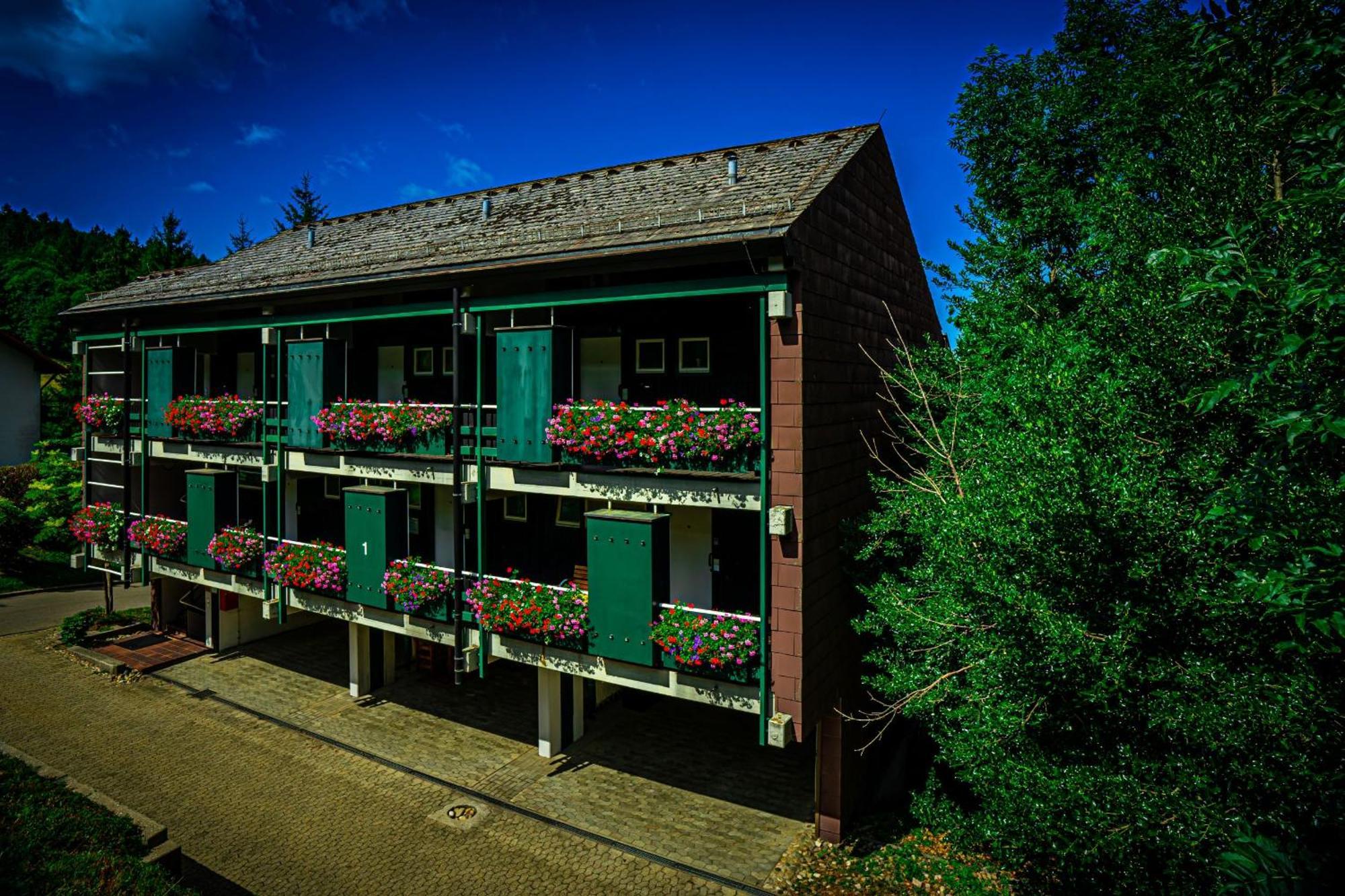 Natur Tanken Im Schwarzwald Sasbachwalden Εξωτερικό φωτογραφία
