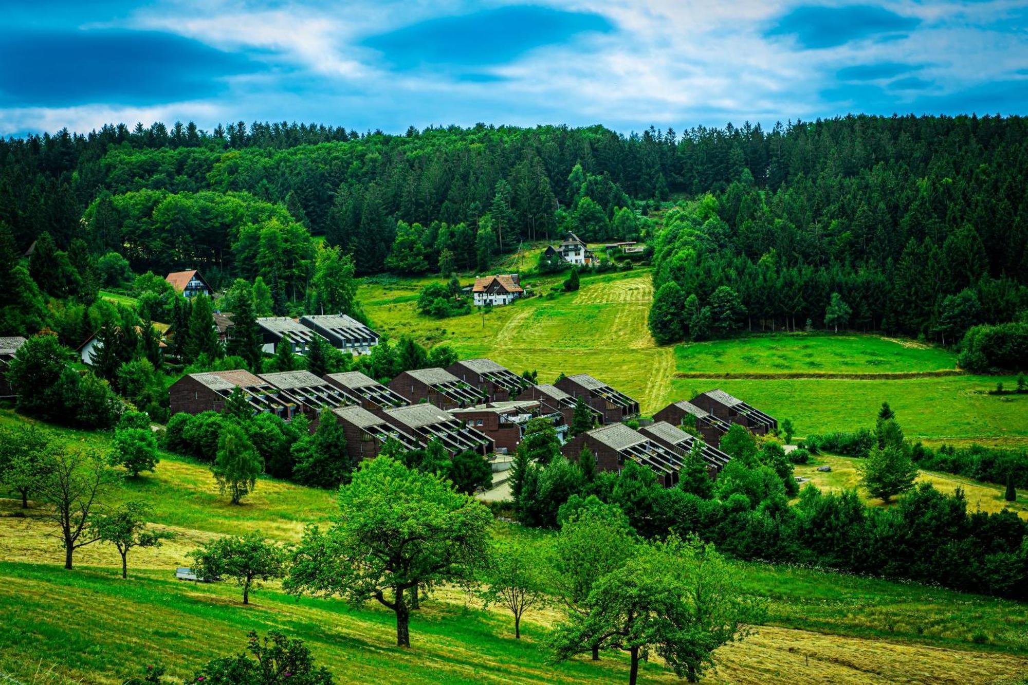 Natur Tanken Im Schwarzwald Sasbachwalden Εξωτερικό φωτογραφία